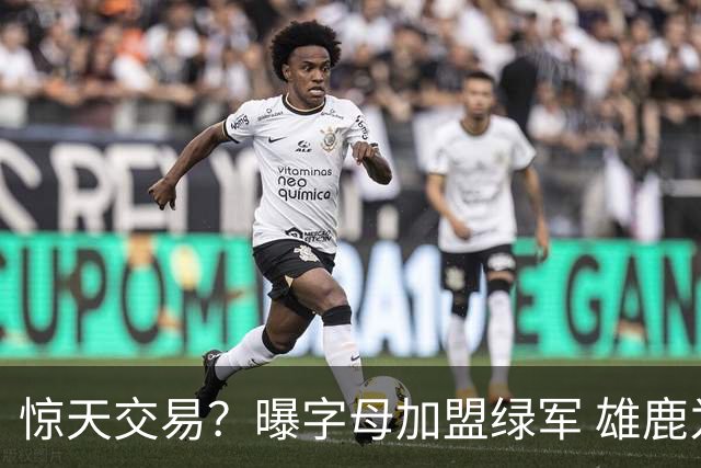 惊天交易？曝字母加盟绿军 雄鹿为布朗寻找第三方